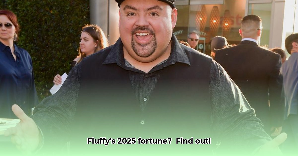 fluffy-comedian-net-worth